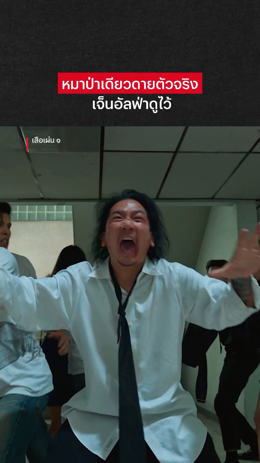 นี่ #หมาป่าเดียวดาย หรือเสือร้องโฮกปิ๊บ #เสือเผ่น๑ #NetflixThailand